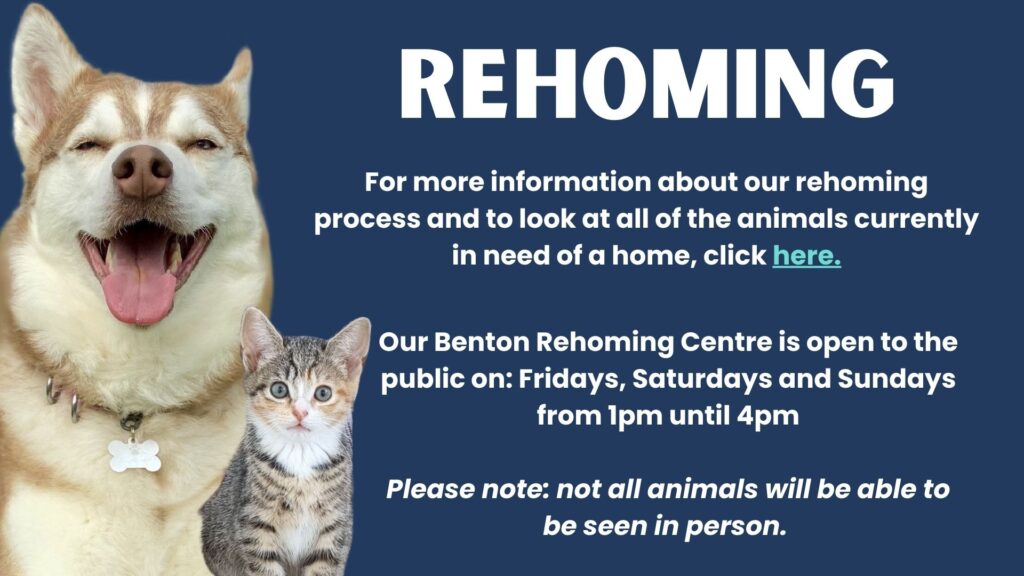 Newcastle Dog & Shelter Saving lives in the North East