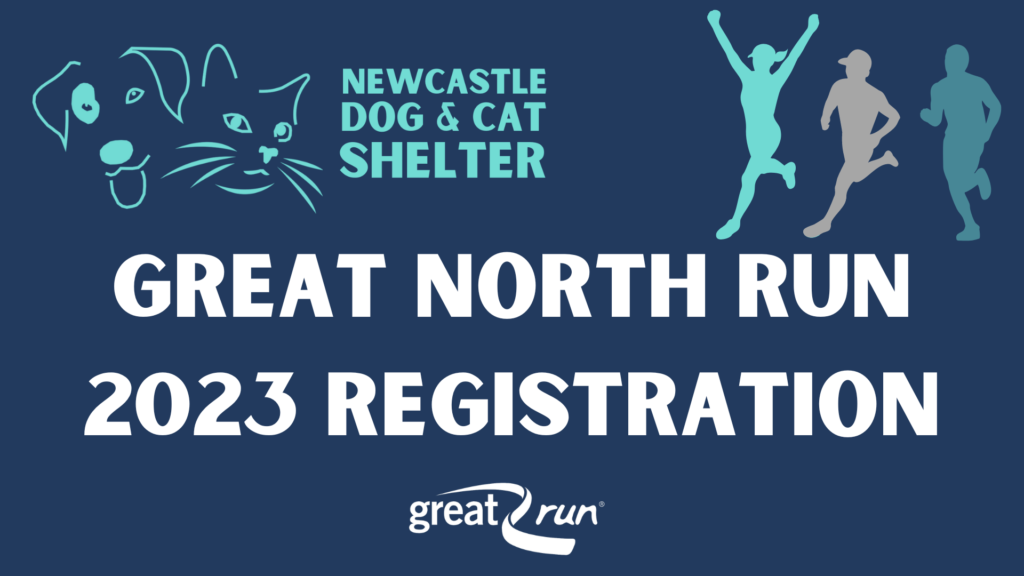 Great North Run 2023 Newcastle Dog & Shelter