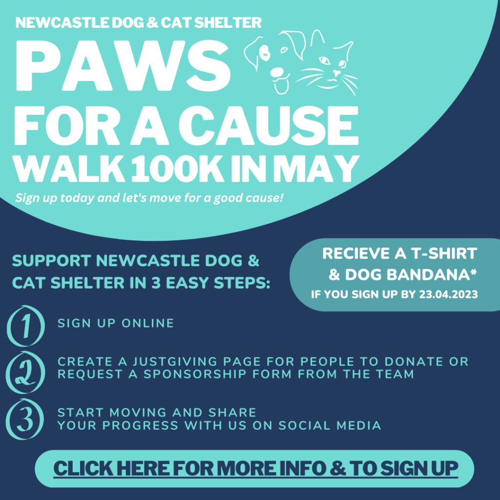 Events Newcastle Dog & Shelter