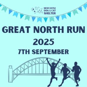 Great North Run 2025 Charity Place