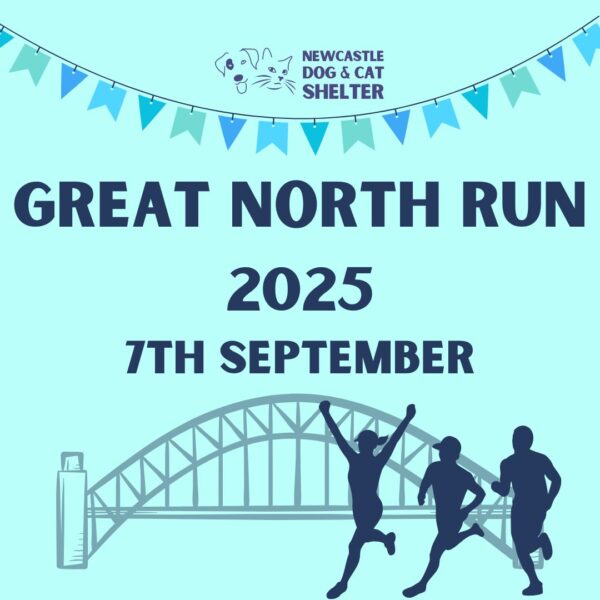 Great North Run 2025 Charity Place