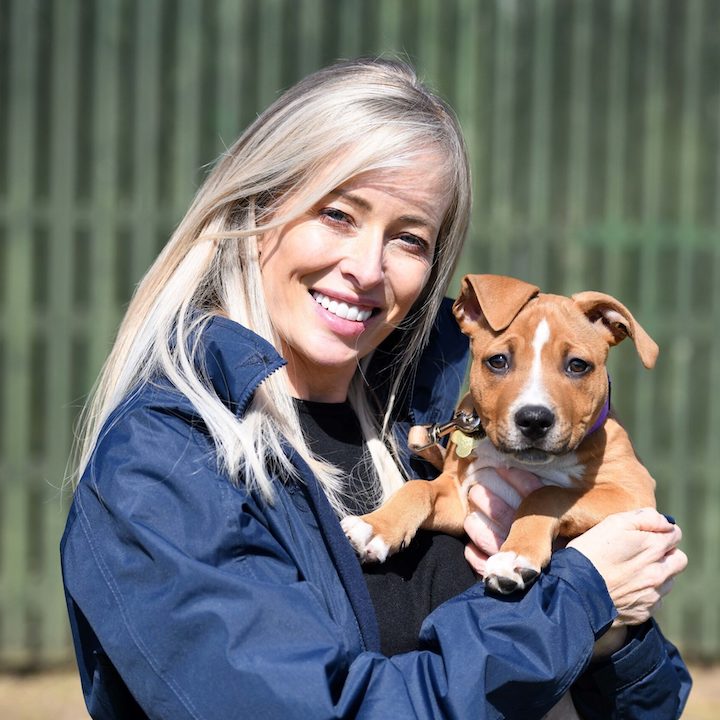 CD006scaled 2 Newcastle Dog & Cat Shelter