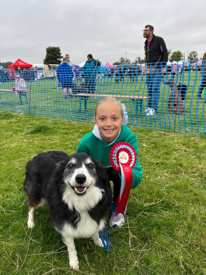 Best in show Sunday