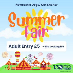 Summer Fair Adult Ticket