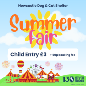Summer Fair Child Ticket (Under 14's)