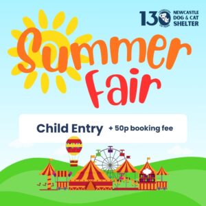 Summer Fair Child Ticket (Under 14's)