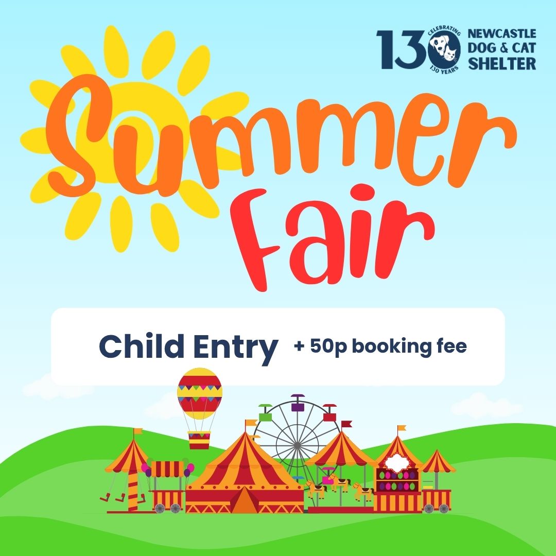 Summer Fair Child Ticket (Under 14's)