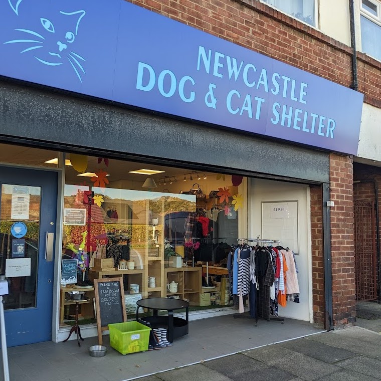 Cat & dog shop store